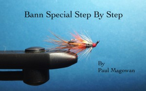 Bann Special by Paul Magowan